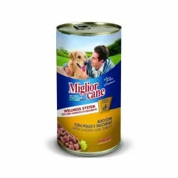 MIGLIOR CANE