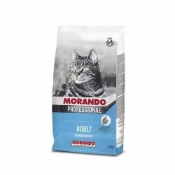 Miglior gatto