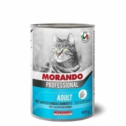 Miglior gatto