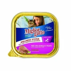 Miglior gatto