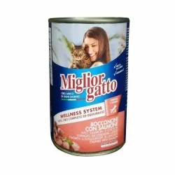 Miglior gatto