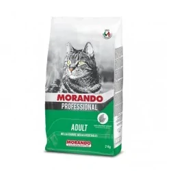 Miglior gatto