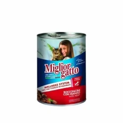 Miglior gatto