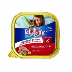 Miglior gatto