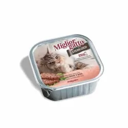 Miglior gatto