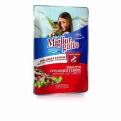 Miglior gatto