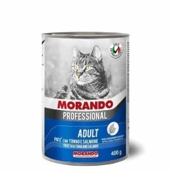 Miglior gatto