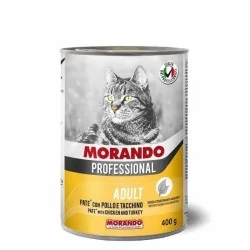 Miglior gatto