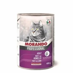 Miglior gatto