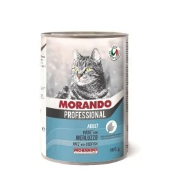 Miglior gatto