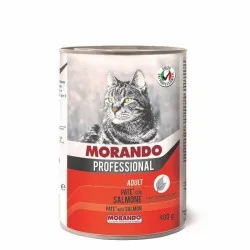 Miglior gatto