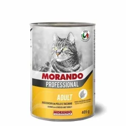 Miglior gatto