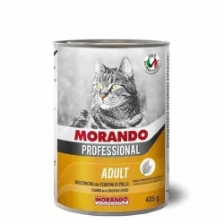 Miglior gatto