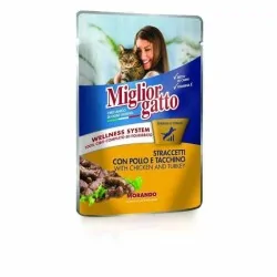 Miglior gatto