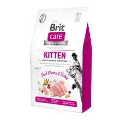 Brit