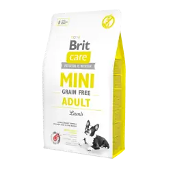Brit