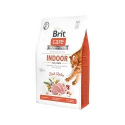 Brit