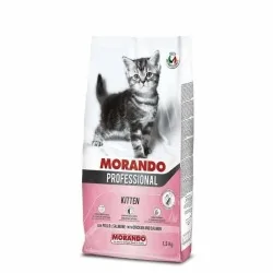 Miglior gatto