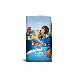 MIGLIOR CANE