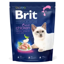 Brit