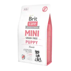 Brit