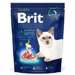 Brit