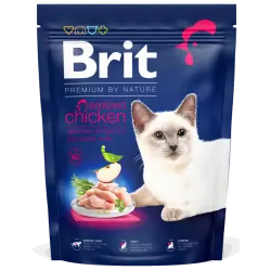 Brit