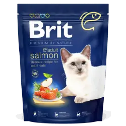 Brit