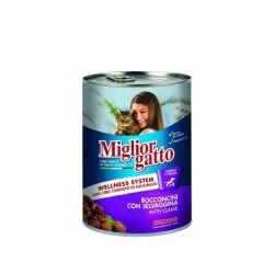 Miglior gatto