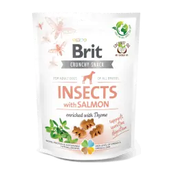 Brit