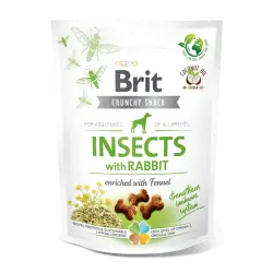 Brit