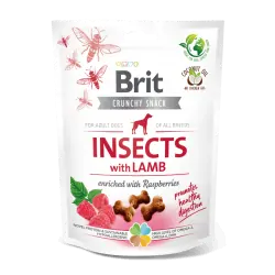 Brit