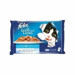 Felix