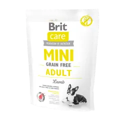 Brit