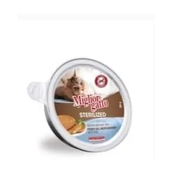 Miglior gatto