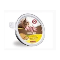 Miglior gatto