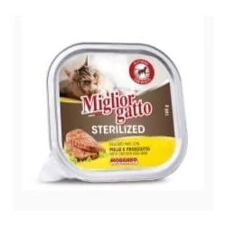 Miglior gatto