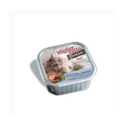 Miglior gatto