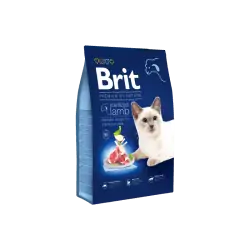 Brit