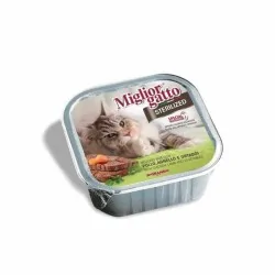 Miglior gatto