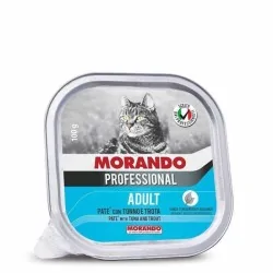 Miglior gatto