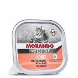 Miglior gatto