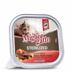 Miglior gatto