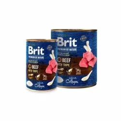 Brit