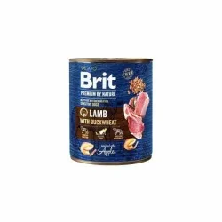 Brit