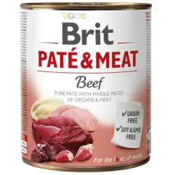 Brit