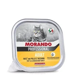 Miglior gatto