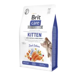 Brit