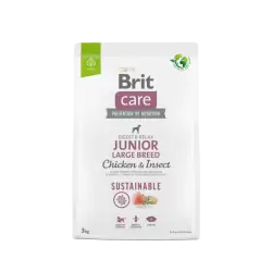 Brit