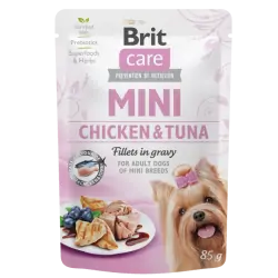 Brit